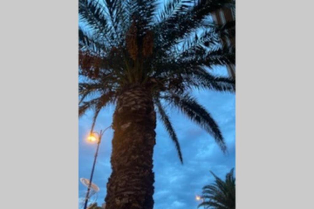 Apartmán Escapade Au Port Hyères Exteriér fotografie